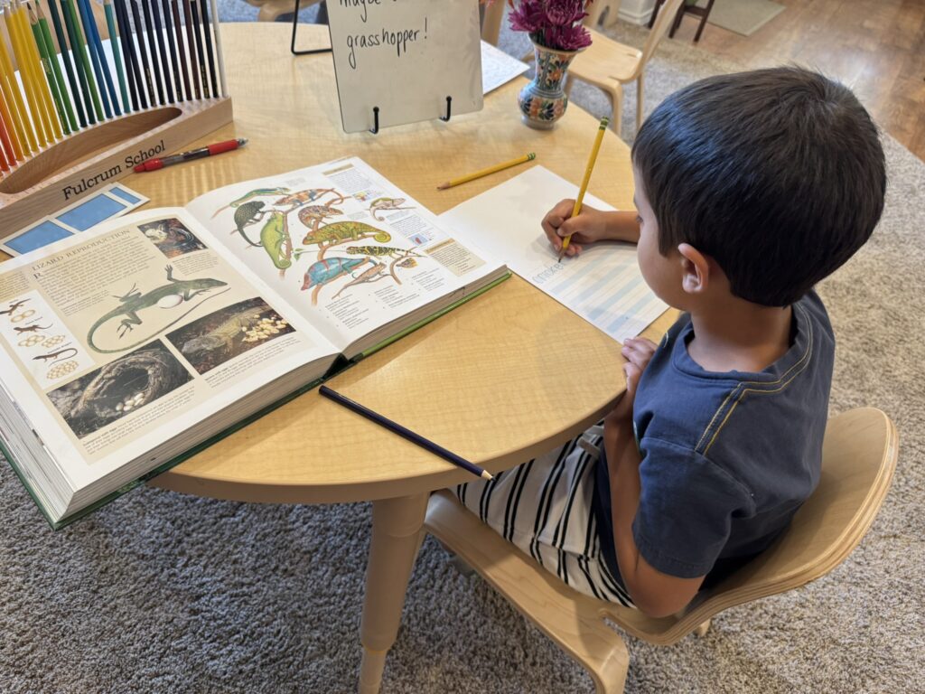 35BB5D2F E6E3 4D15 8995 07FCAF3666D1 1 102 O