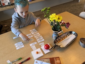 Avery Verb Adverb Small